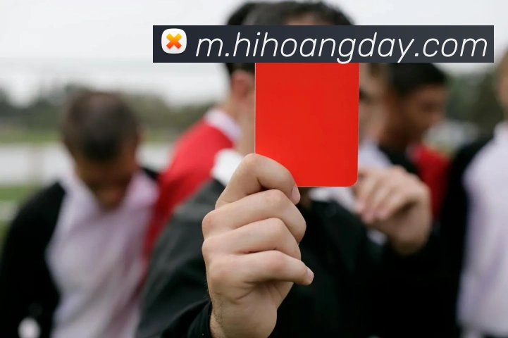 体育App